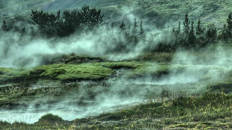 Peluncuran Website PPID Desa Sambas